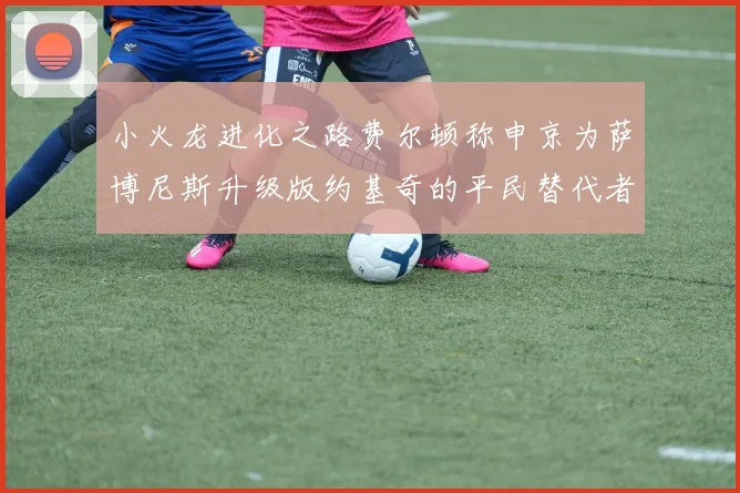 小火龙进化之路费尔顿称申京为萨博尼斯升级版约基奇的平民替代者