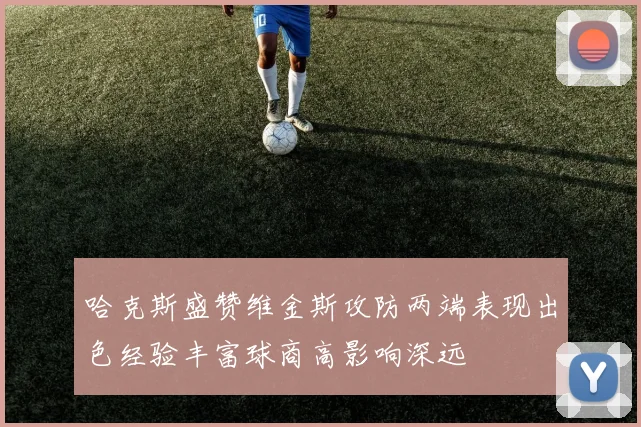 哈克斯盛赞维金斯攻防两端表现出色经验丰富球商高影响深远