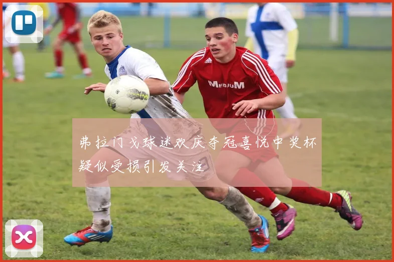 弗拉门戈球迷欢庆夺冠喜悦中奖杯疑似受损引发关注