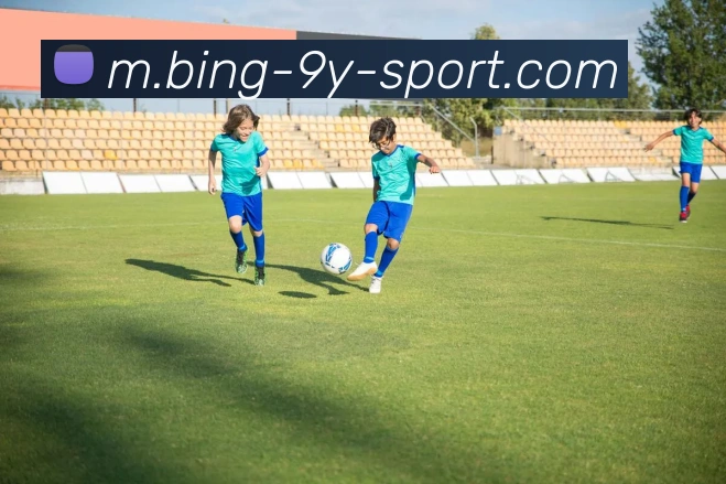 九游体育平台生态图